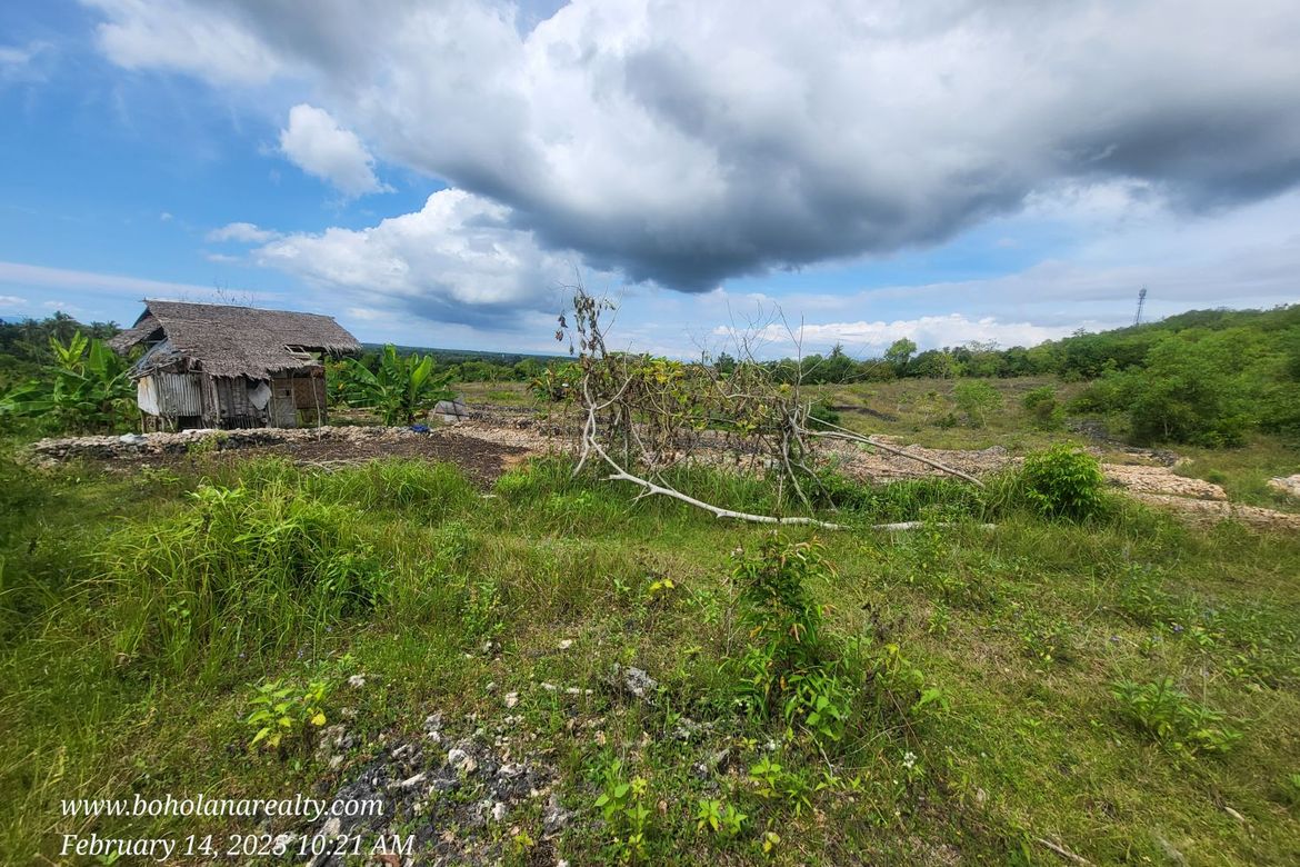 Land for Sale in Biking, Dauis, Bohol – photo 2