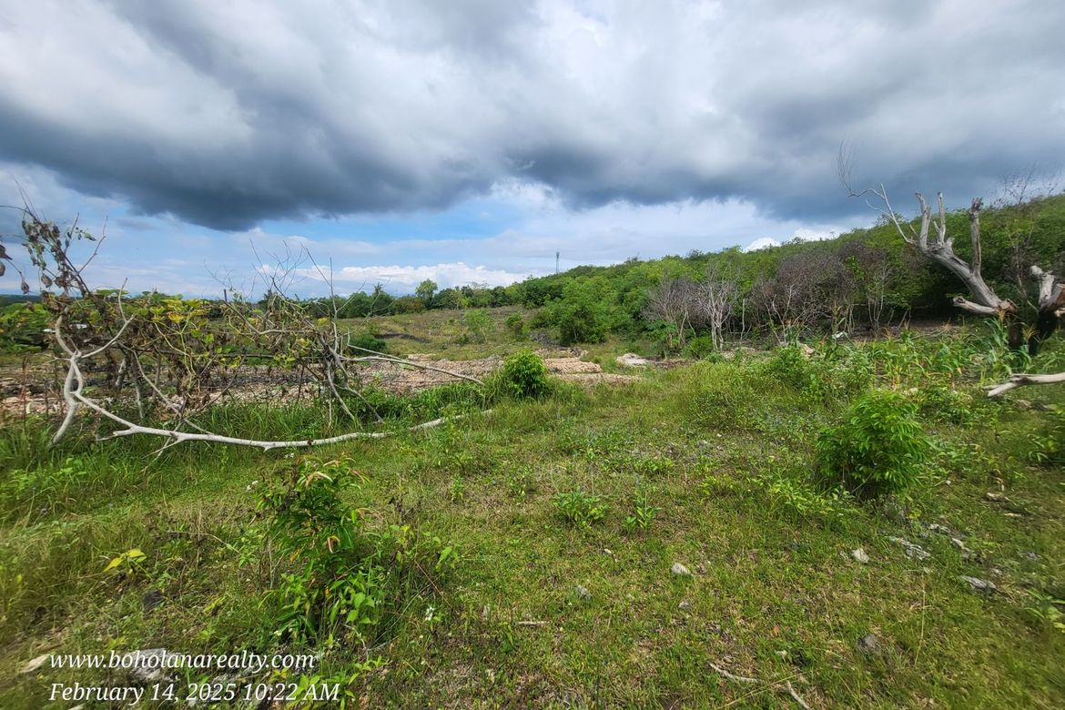 Land for Sale in Biking, Dauis, Bohol – photo 4