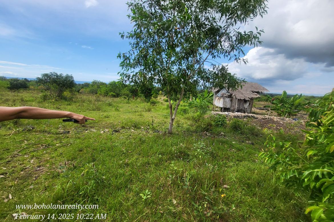 Land for Sale in Biking, Dauis, Bohol – photo 6