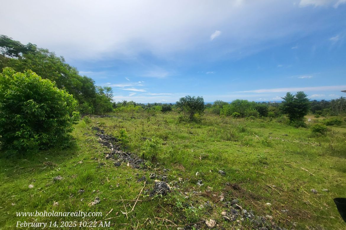 Land for Sale in Biking, Dauis, Bohol – photo 7