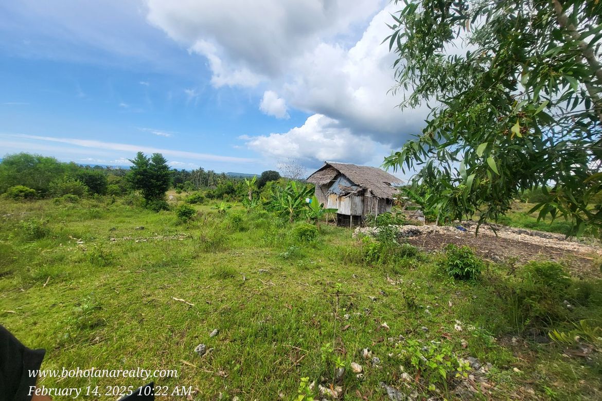 Land for Sale in Biking, Dauis, Bohol – photo 8
