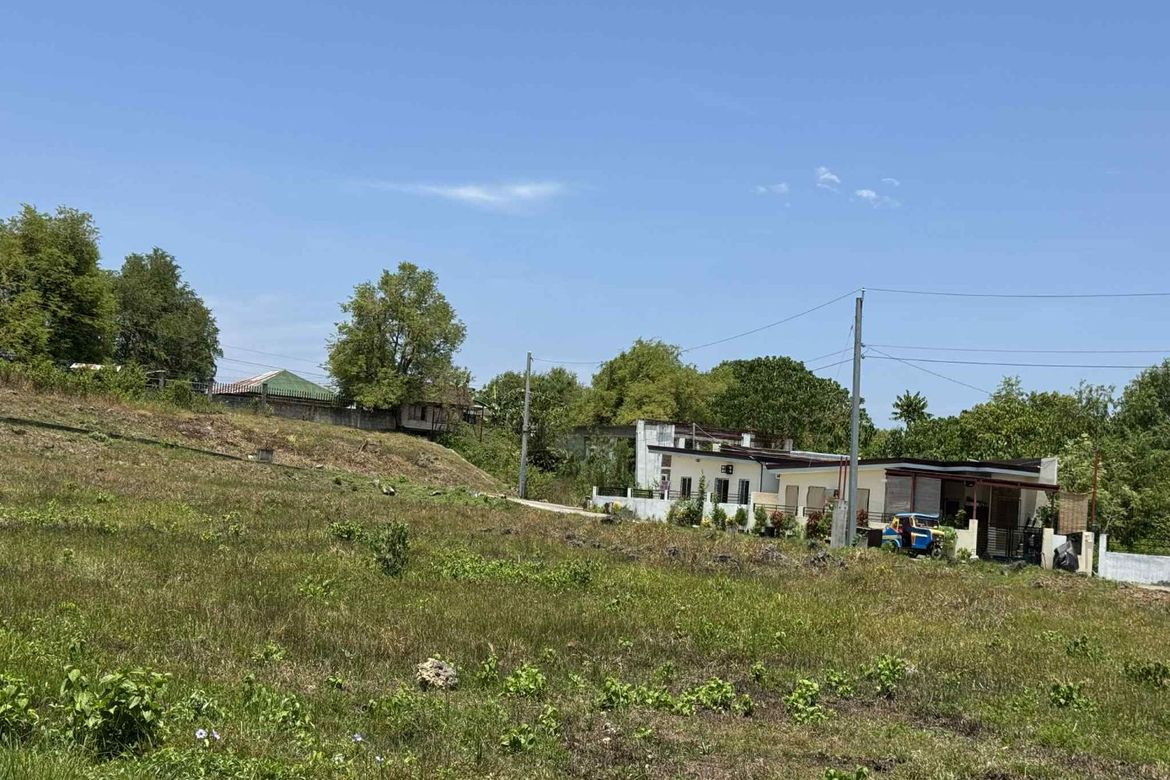 Land for Sale in Biking, Dauis, Bohol – photo 3