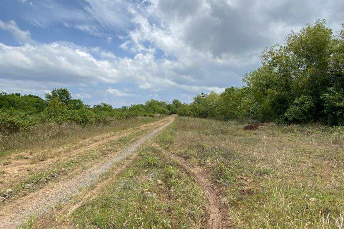 Land for Sale in Biking, Dauis, Bohol – photo 3