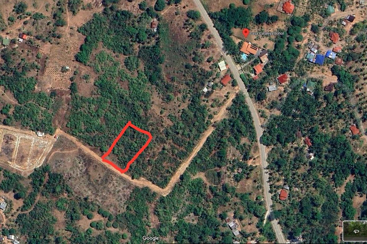 Land for Sale in Biking, Dauis, Bohol