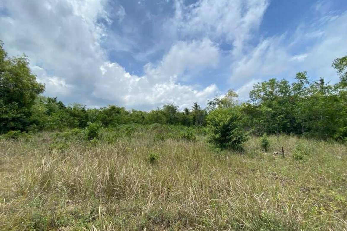Land for Sale in Biking, Dauis, Bohol – photo 3