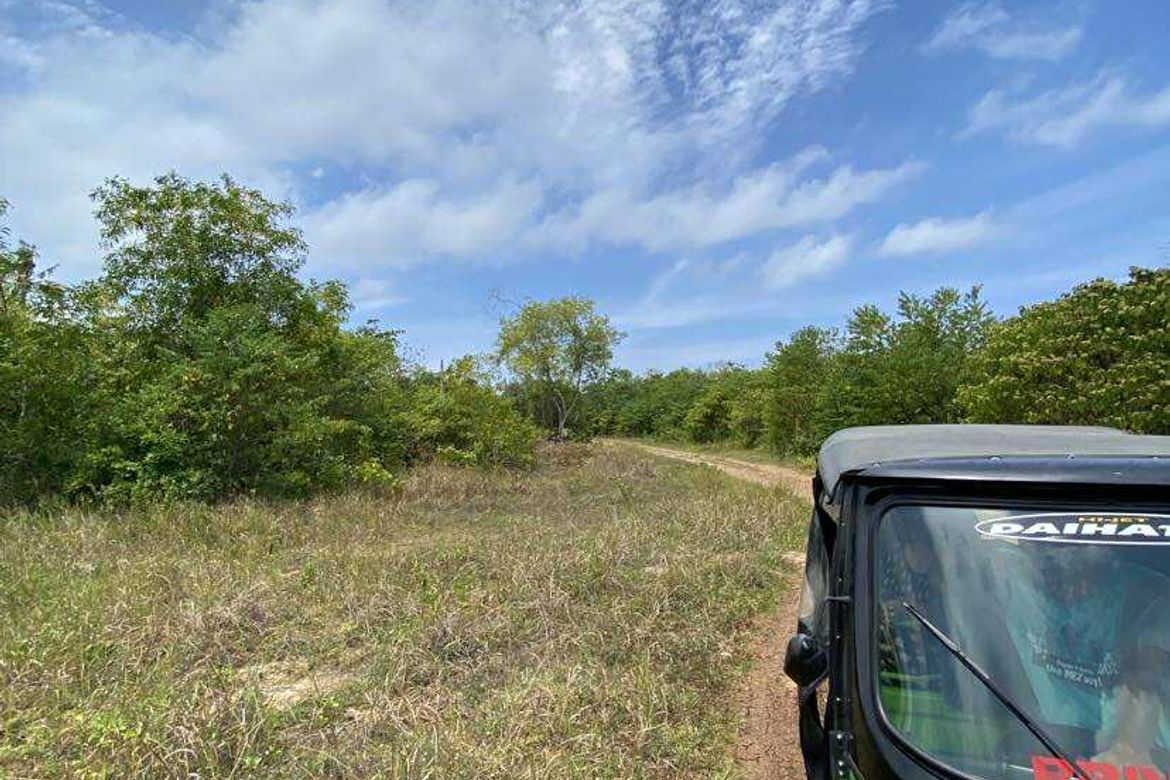 Land for Sale in Biking, Dauis, Bohol – photo 5