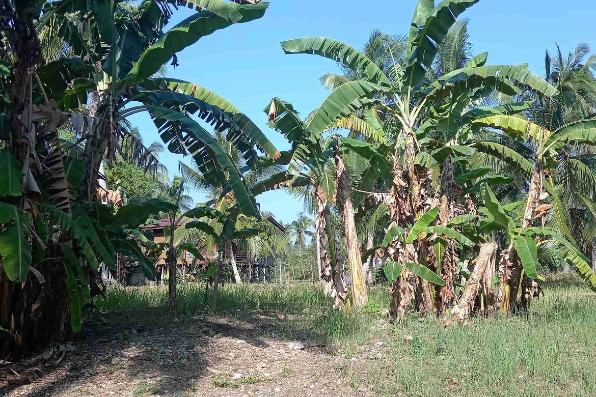 Land for Sale in Biking, Dauis, Bohol – photo 10