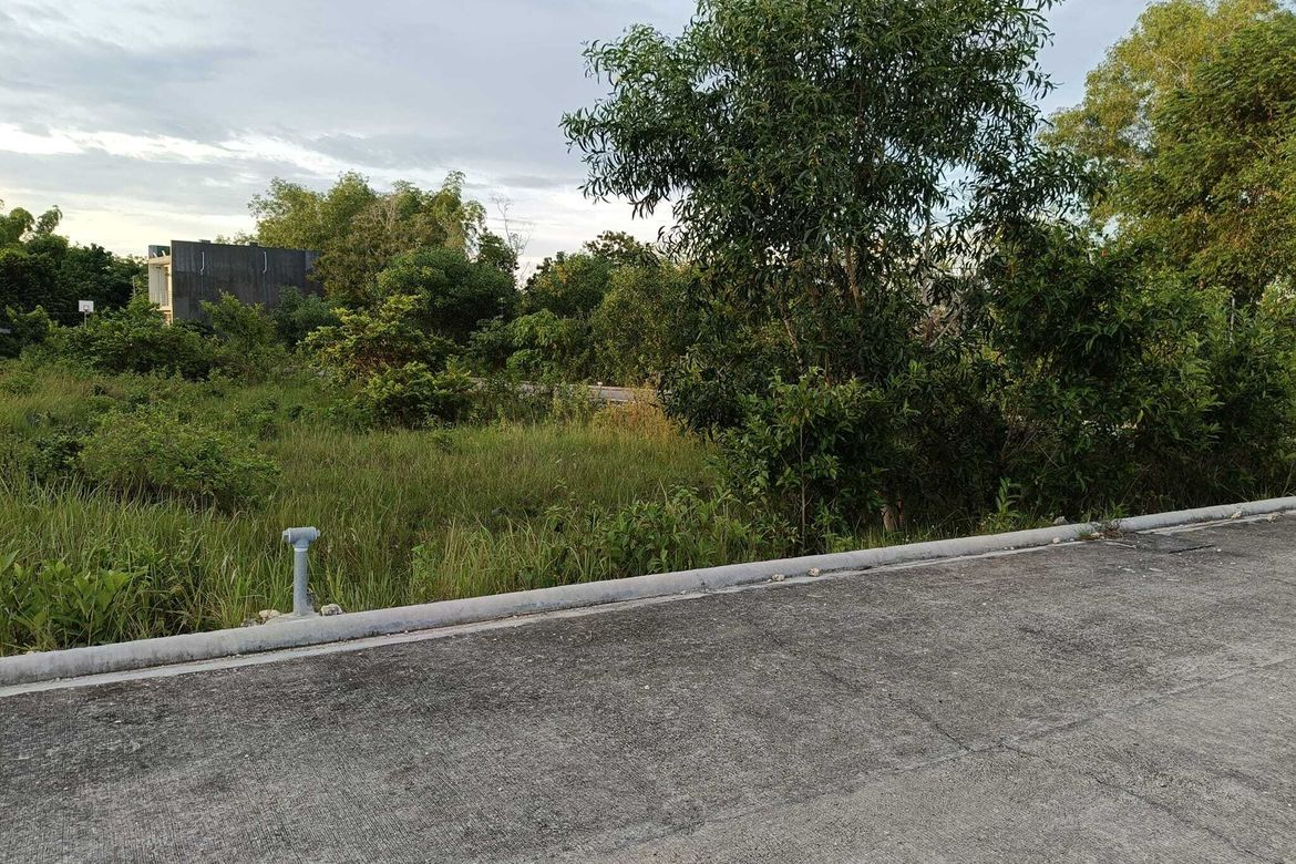 Land for Sale in Bil-Isan, Panglao, Bohol – photo 2