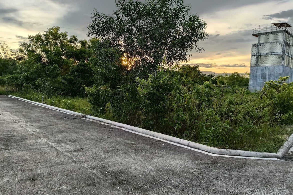 Land for Sale in Bil-Isan, Panglao, Bohol – photo 4