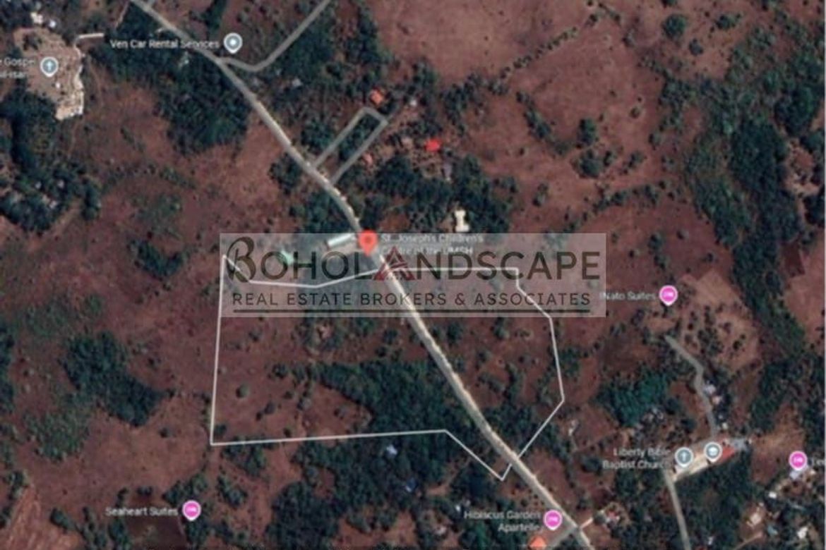 Land for Sale in Bil-Isan, Panglao, Bohol – photo 3