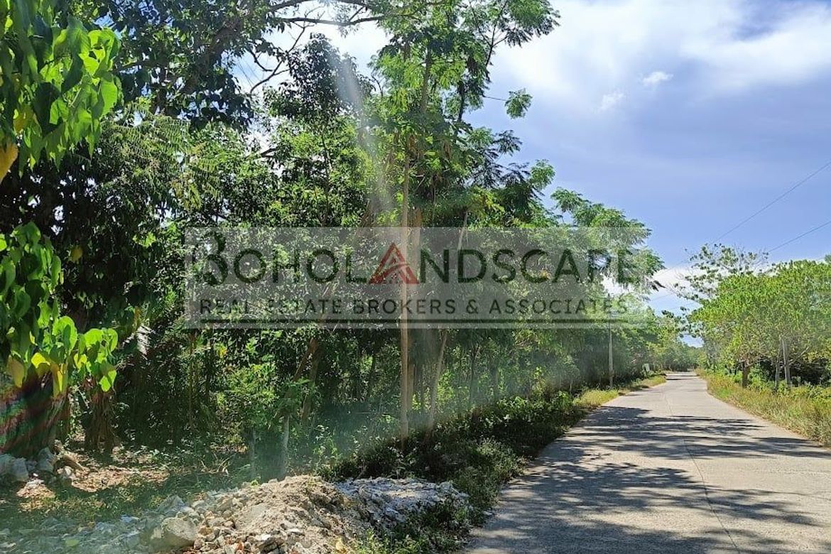 Land for Sale in Bil-Isan, Panglao, Bohol – photo 4