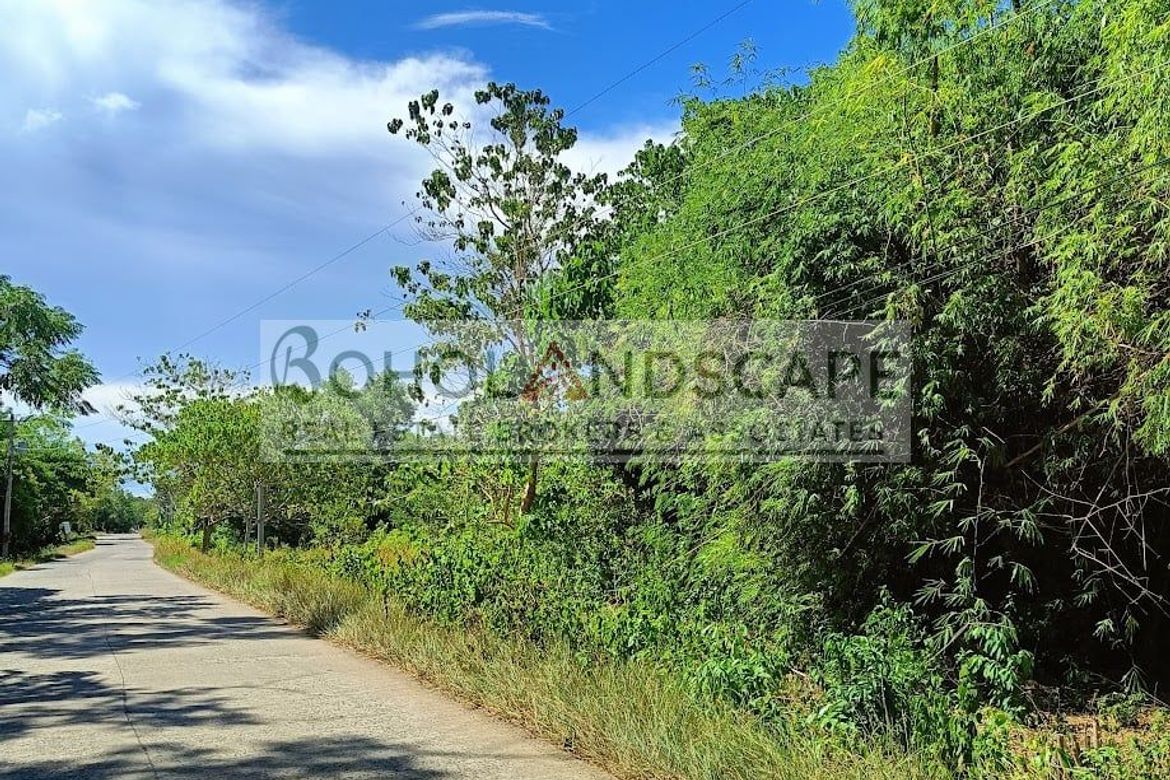 Land for Sale in Bil-Isan, Panglao, Bohol – photo 5