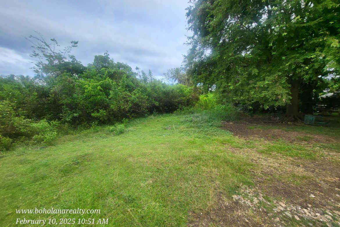 Land for Sale in Bil-Isan, Panglao, Bohol