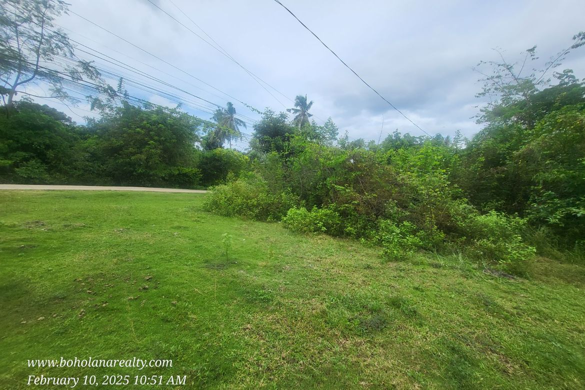 Land for Sale in Bil-Isan, Panglao, Bohol – photo 3