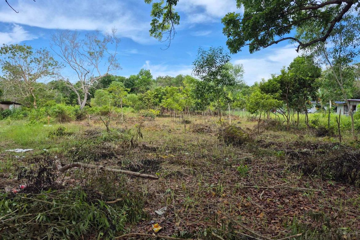 Land for Sale in Bil-Isan, Panglao, Bohol