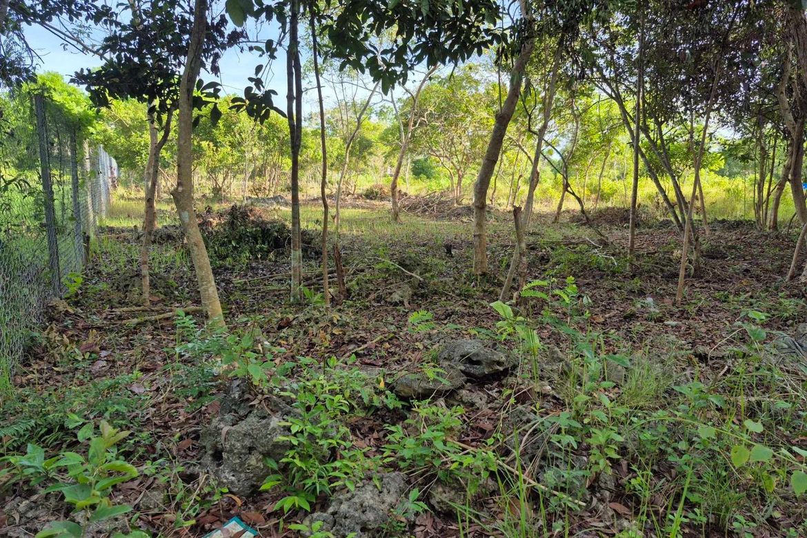 Land for Sale in Bil-Isan, Panglao, Bohol – photo 4
