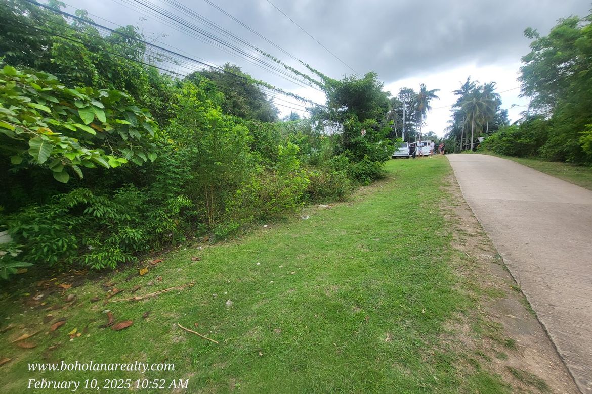 Land for Sale in Bil-Isan, Panglao, Bohol