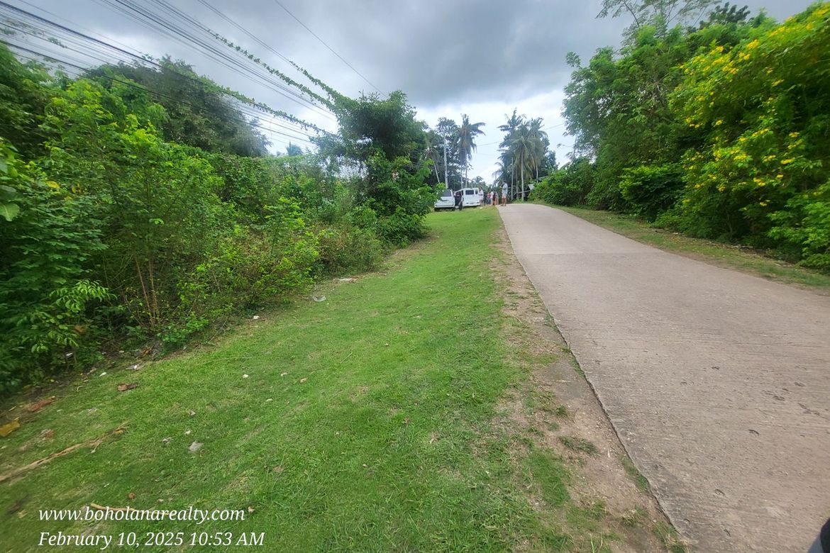 Land for Sale in Bil-Isan, Panglao, Bohol – photo 2