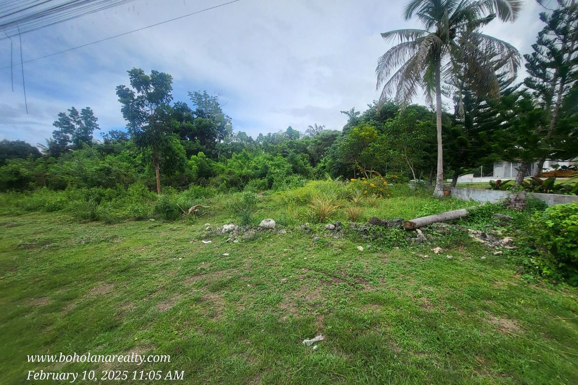 Land for Sale in Bil-Isan, Panglao, Bohol – photo 3