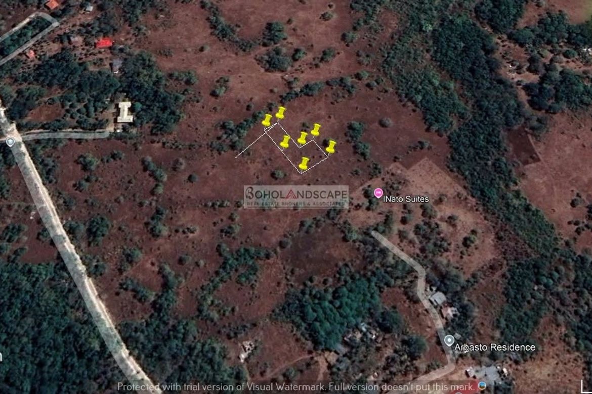 Land for Sale in Bil-Isan, Panglao, Bohol – photo 2