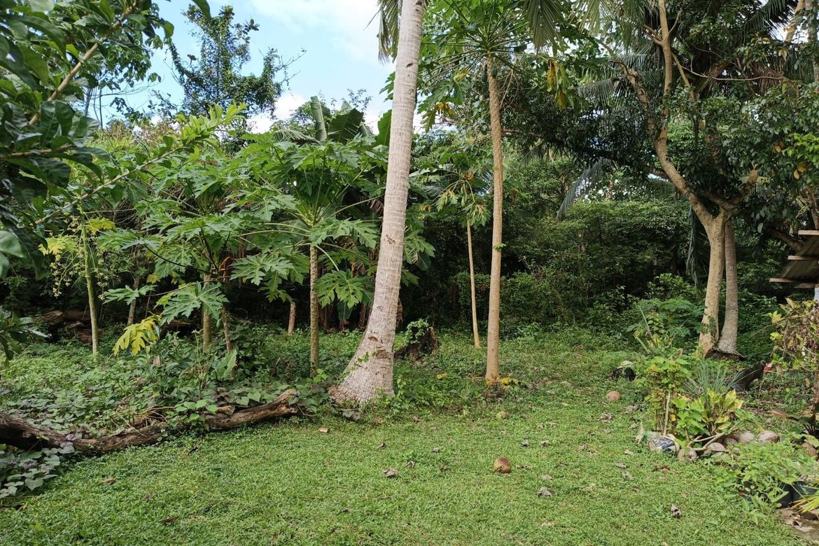 Land for Sale in Bil-Isan, Panglao, Bohol – photo 2
