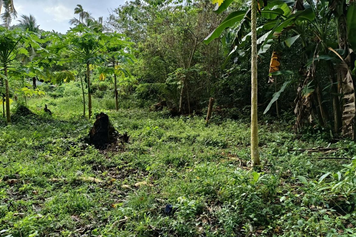 Land for Sale in Bil-Isan, Panglao, Bohol – photo 6