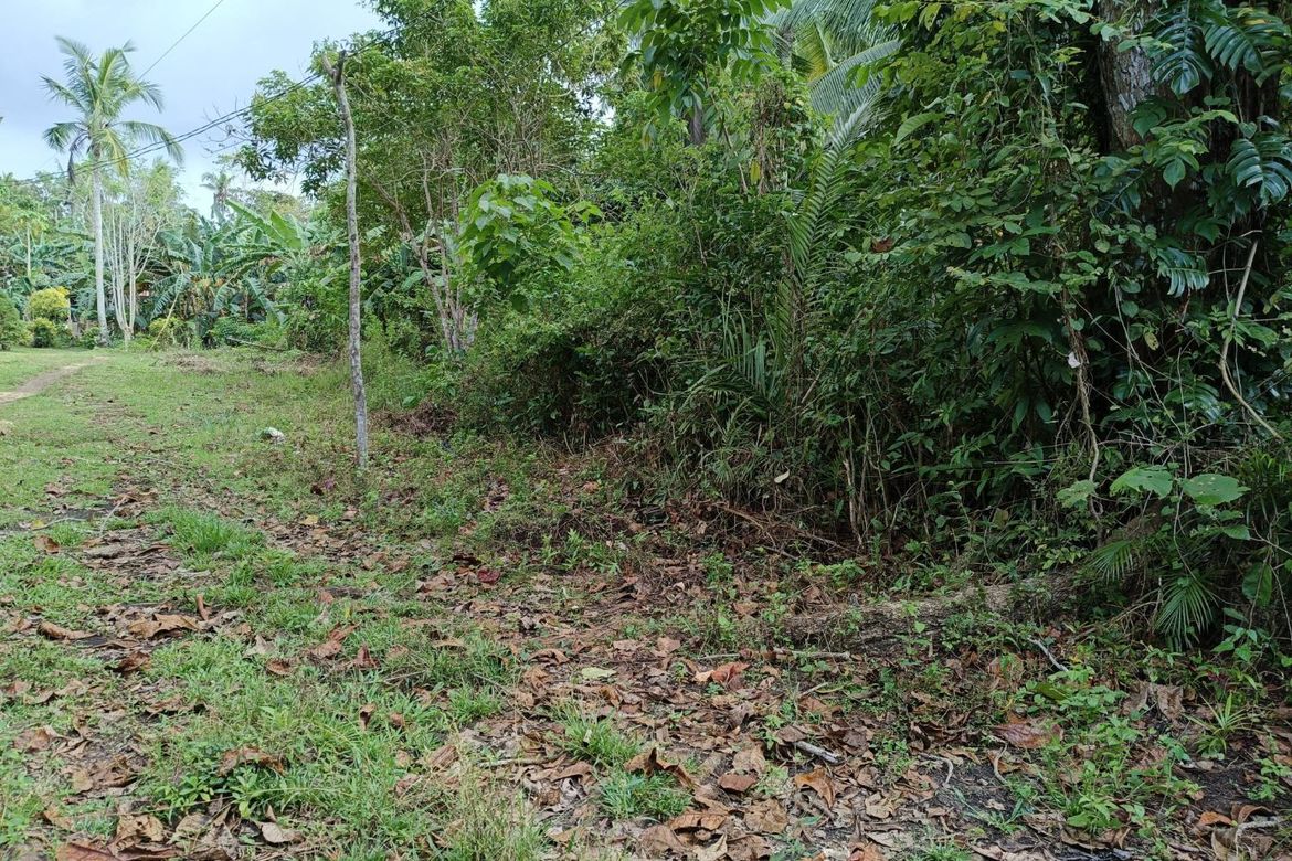 Land for Sale in Bil-Isan, Panglao, Bohol – photo 7