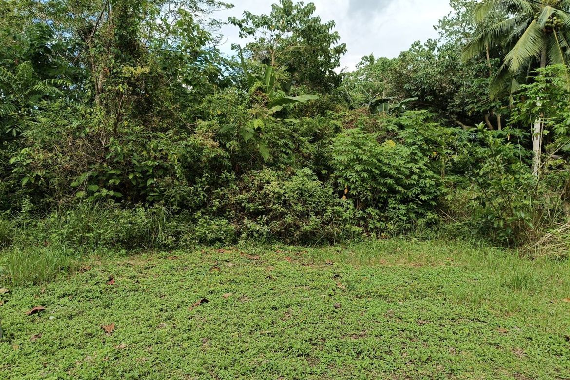 Land for Sale in Bil-Isan, Panglao, Bohol – photo 8