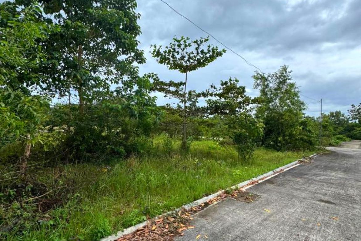 Land for Sale in Bil-Isan, Panglao, Bohol – photo 2