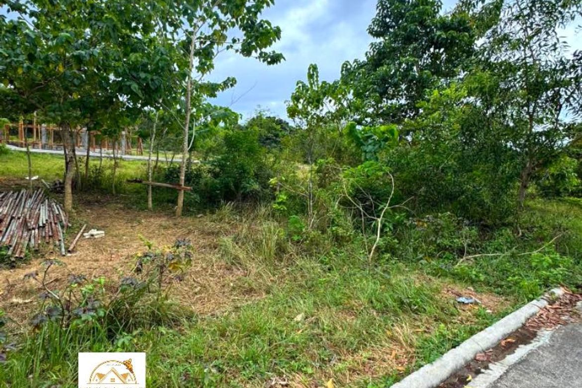 Land for Sale in Bil-Isan, Panglao, Bohol – photo 7