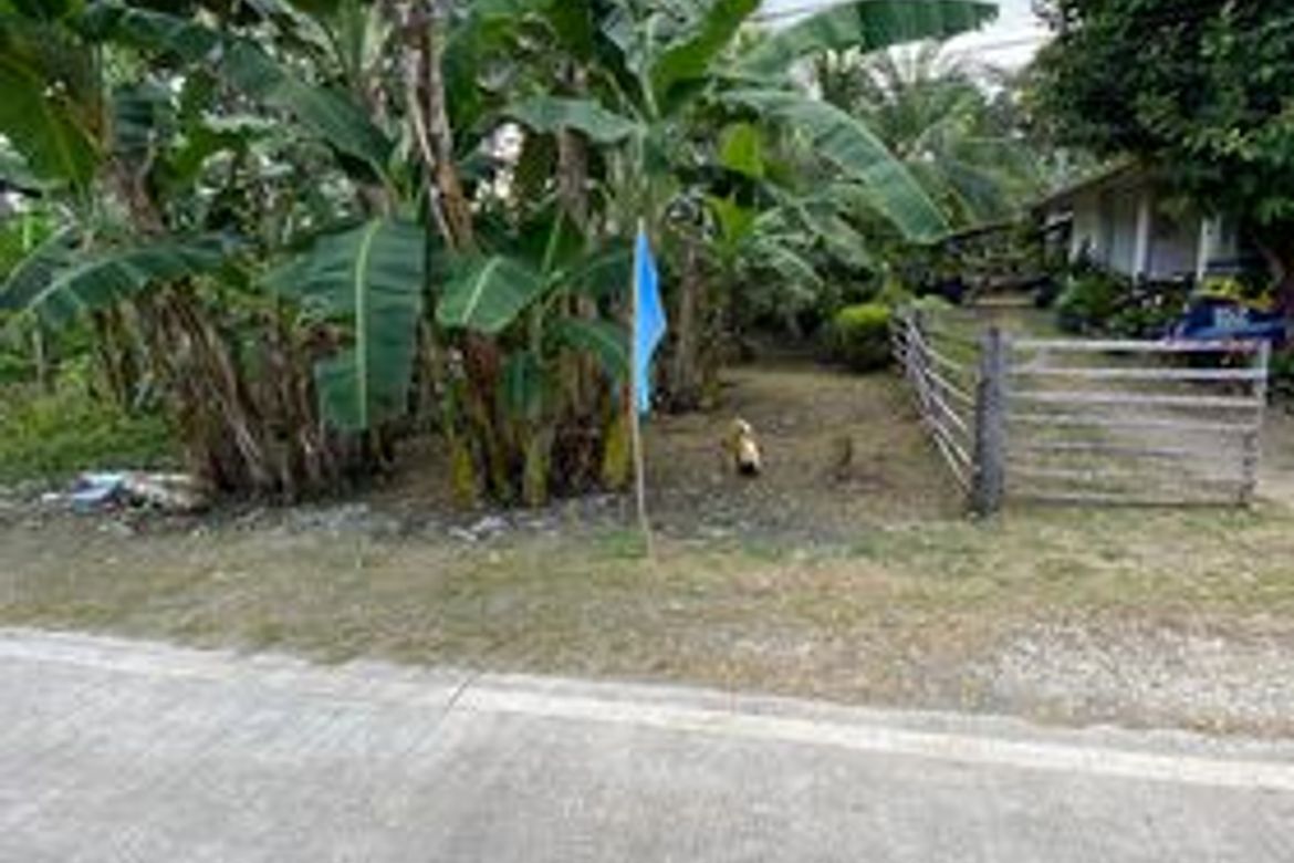 Land for Sale in Bil-Isan, Panglao, Bohol – photo 2