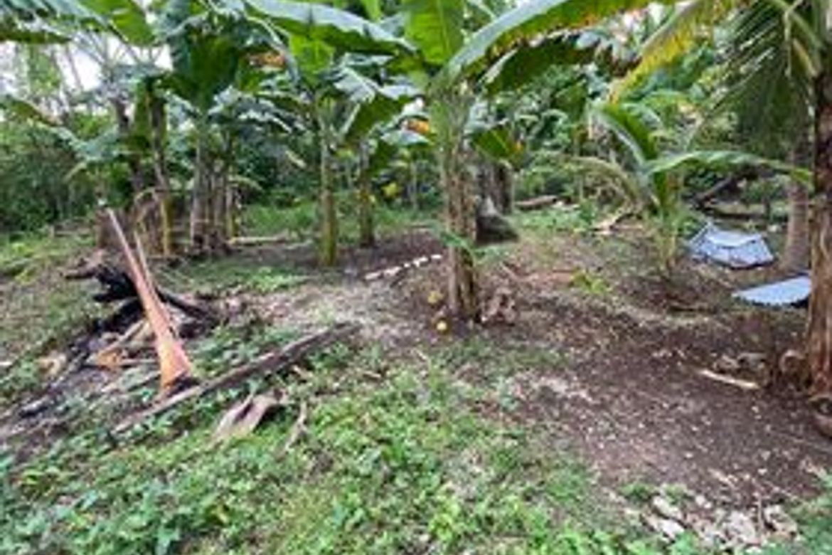 Land for Sale in Bil-Isan, Panglao, Bohol – photo 3