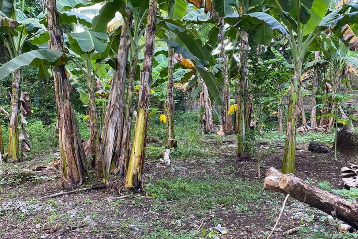 Land for Sale in Bil-Isan, Panglao, Bohol – photo 7