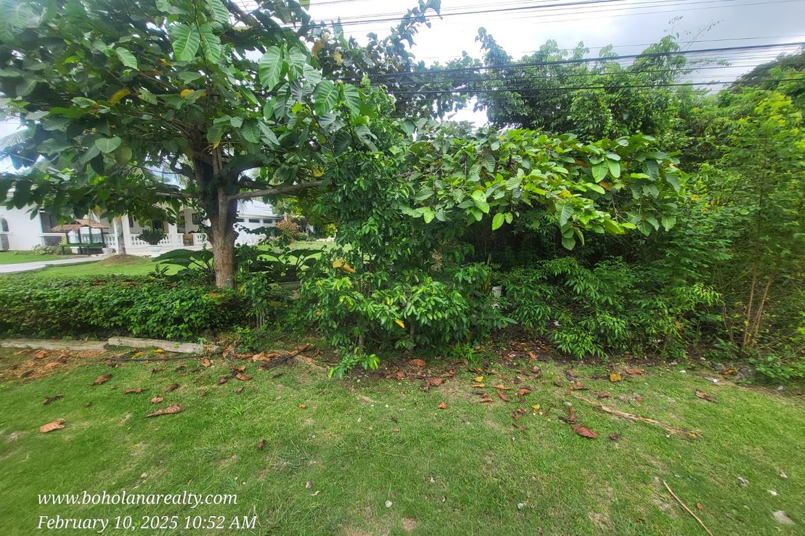 Land for Sale in Bil-Isan, Panglao, Bohol – photo 2