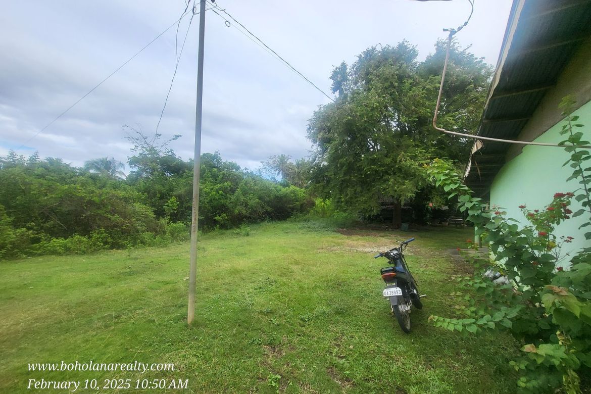 Land for Sale in Bil-Isan, Panglao, Bohol – photo 5