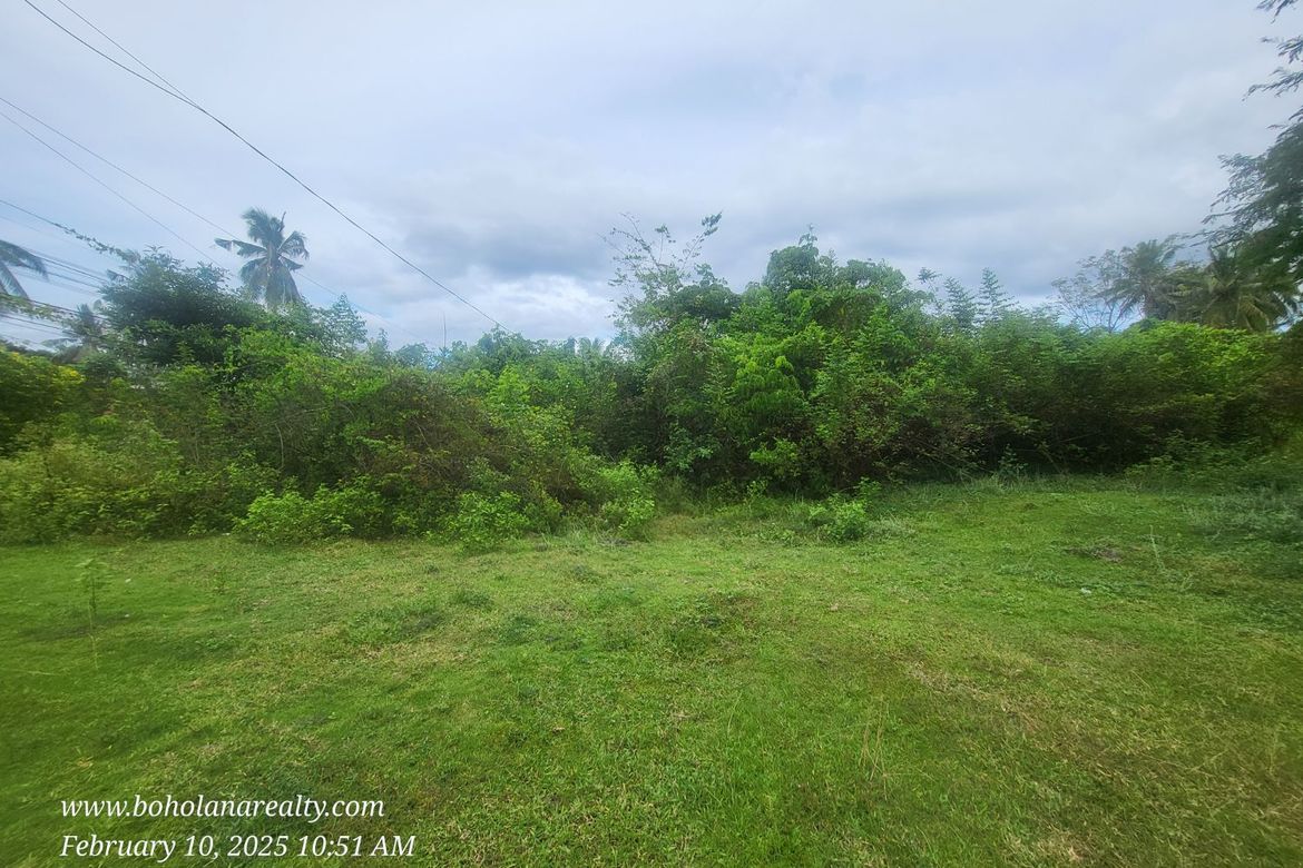 Land for Sale in Bil-Isan, Panglao, Bohol – photo 7
