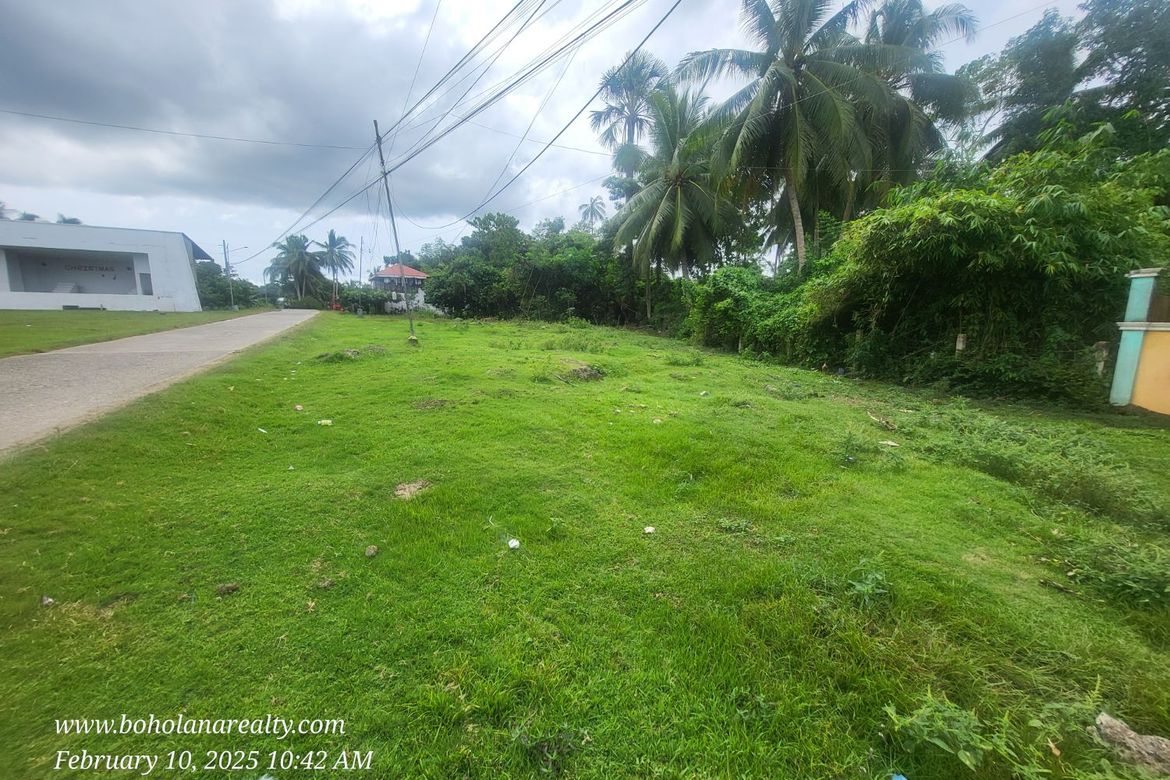 Land for Sale in Bil-Isan, Panglao, Bohol