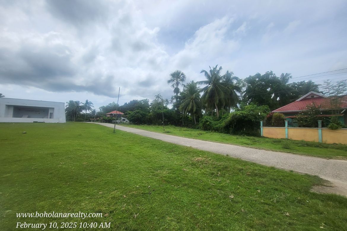 Land for Sale in Bil-Isan, Panglao, Bohol – photo 2