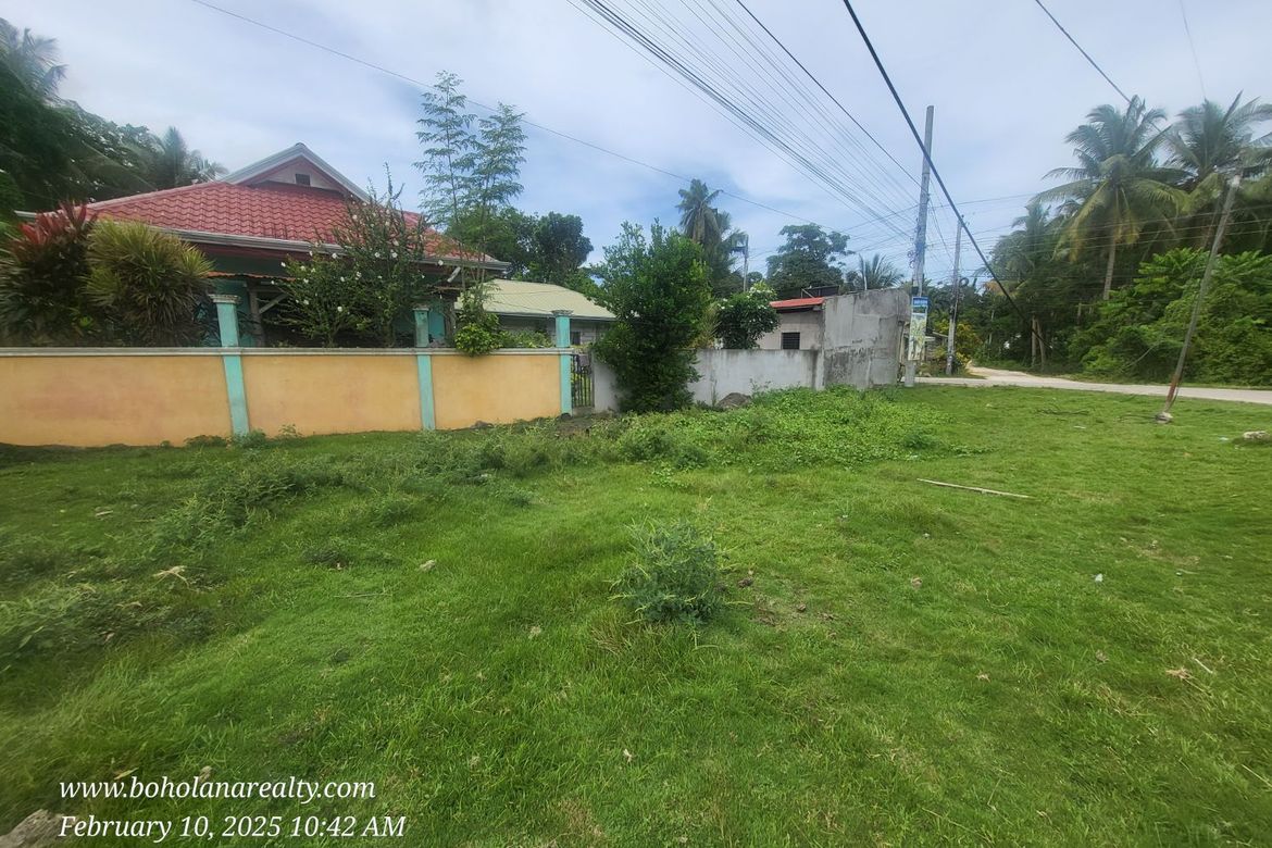 Land for Sale in Bil-Isan, Panglao, Bohol – photo 8