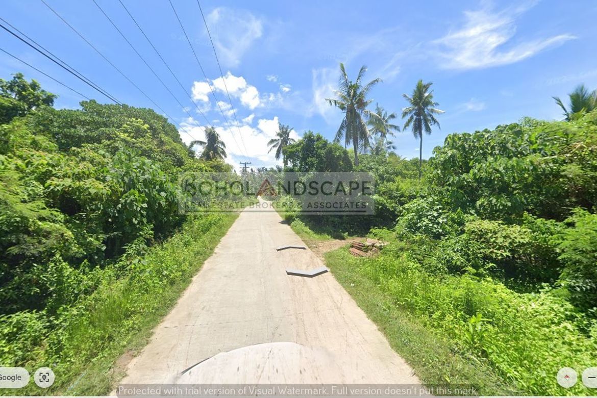Land for Sale in Bil-Isan, Panglao, Bohol