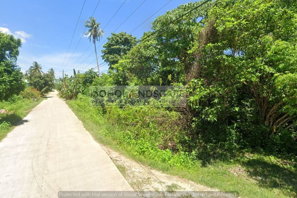 Land for Sale in Bil-Isan, Panglao, Bohol – photo 3