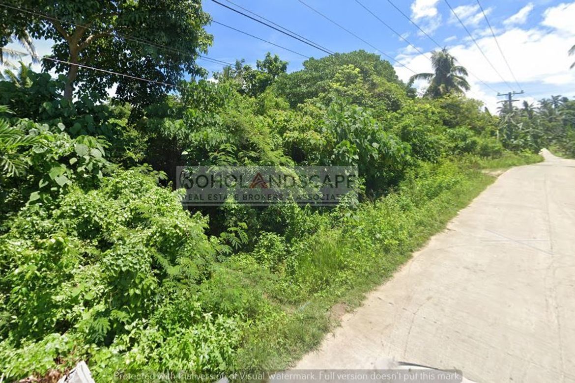 Land for Sale in Bil-Isan, Panglao, Bohol – photo 4