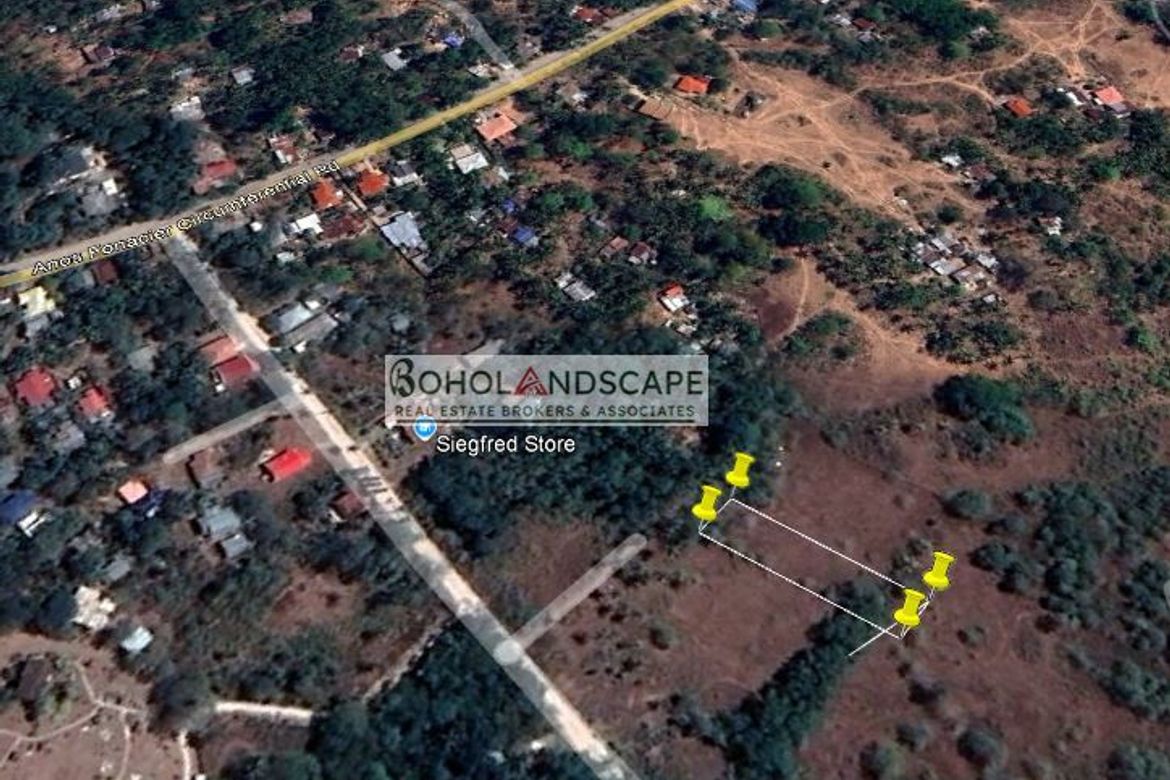 Land for Sale in Bil-Isan, Panglao, Bohol