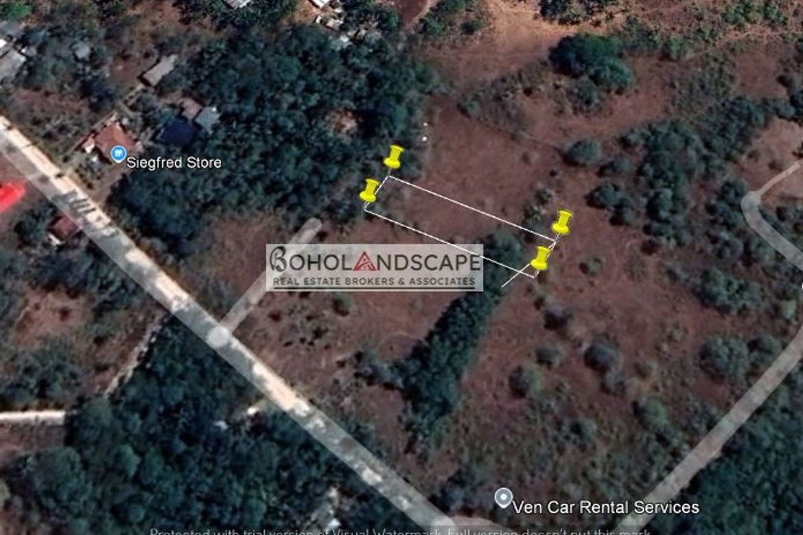 Land for Sale in Bil-Isan, Panglao, Bohol – photo 2
