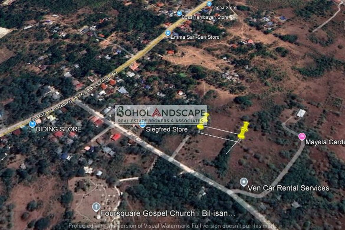 Land for Sale in Bil-Isan, Panglao, Bohol – photo 3