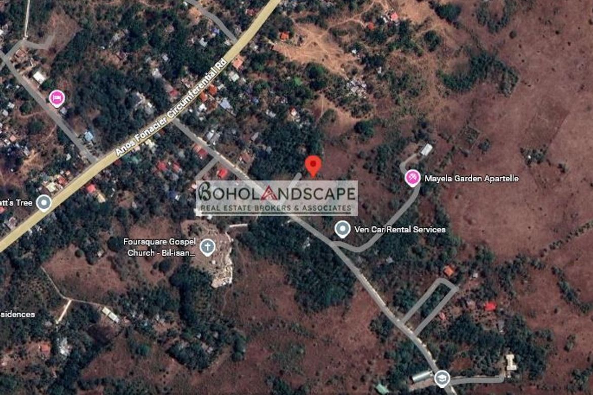Land for Sale in Bil-Isan, Panglao, Bohol – photo 4