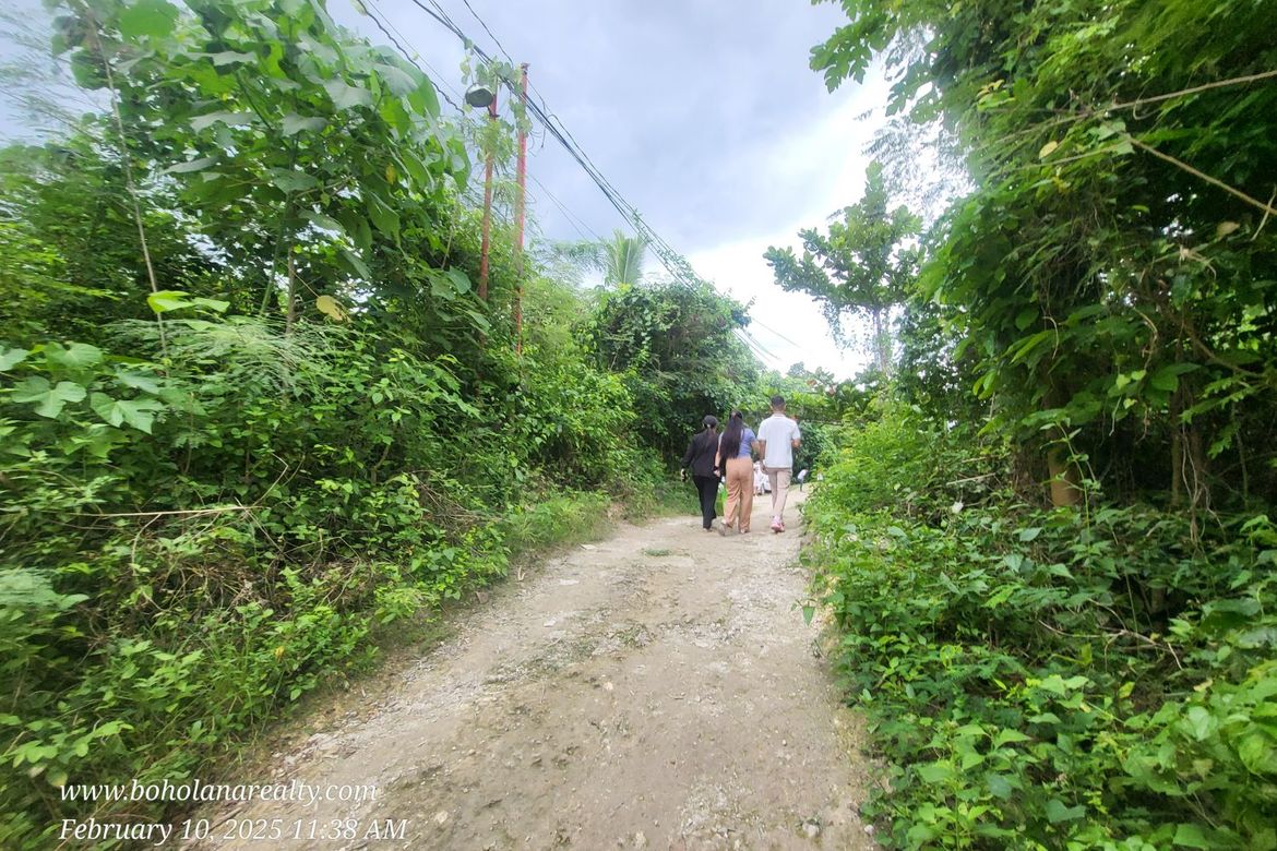 Land for Sale in Bil-Isan, Panglao, Bohol – photo 6