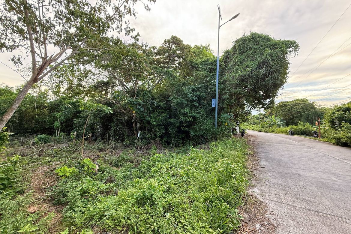 Land for Sale in Bil-Isan, Panglao, Bohol – photo 5