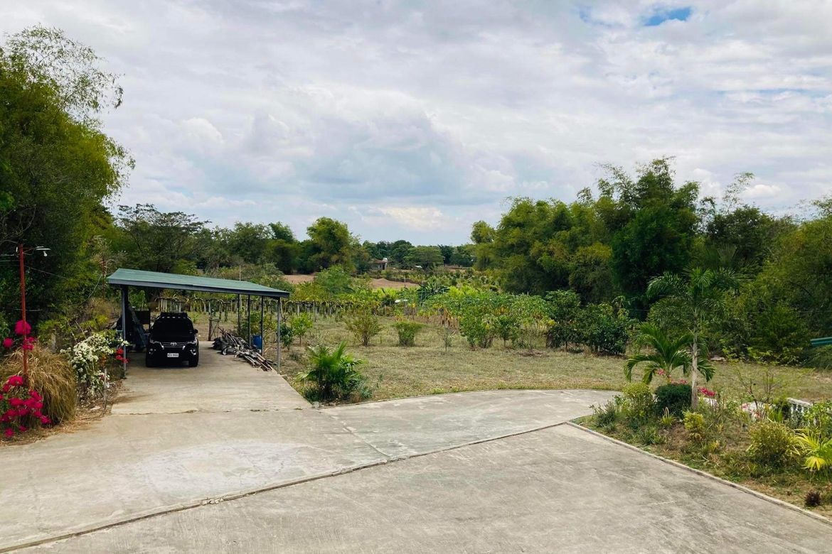 Land for Sale in Bilad, Camiling, Tarlac – photo 6