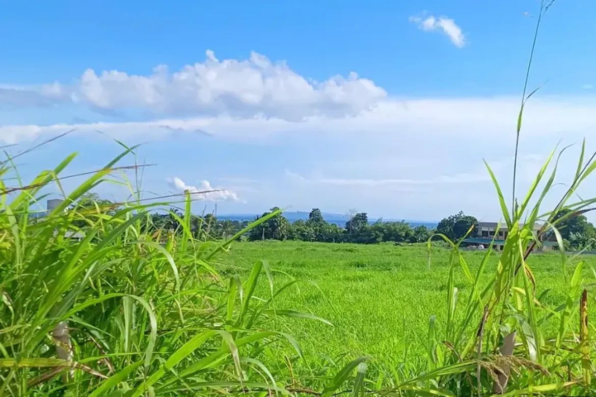 Land for Sale in Biliboy, Ormoc, Leyte – photo 2